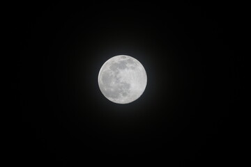 Full Moon in the Night Sky