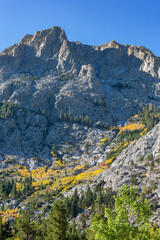 Sunny view of the fall color in June Lake Loop