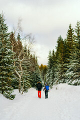 Man Hiking in the Mountains in Winter