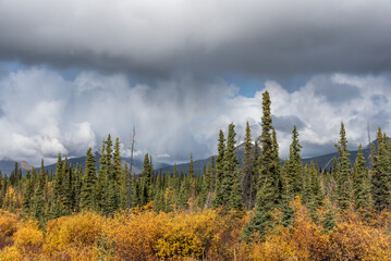 Wilderness area, isolated rural land in northern Canada with no people, no life. Nothing but...