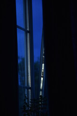 usual view from window in autumn