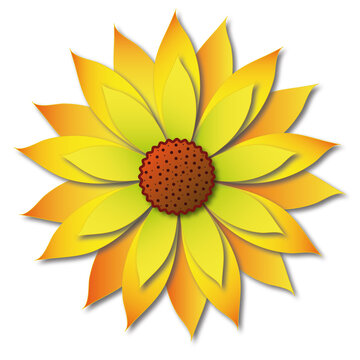 Single full bloom yellow sunflower flower. Illustration of a flower is in white isolated background in vector and jpg format.