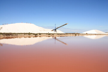 Aigues Mortes Salt Marsh and the medieval city, Camargue, France
