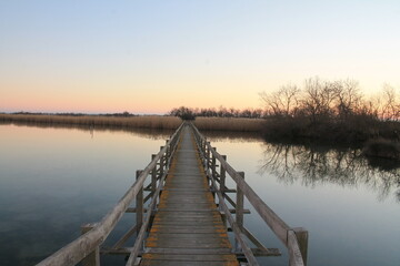 Fototapeta premium Wooden pontoon in the marshes of Candillargues pond in the south of Montpellier 