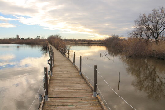 Wooden pontoon and Camargue marshes at sunset
