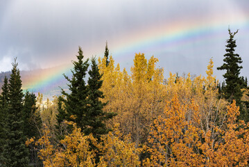 Wilderness area of Canada in fall, autumn season with blue sky background on pristine autumn day. Taken off the Alaska Highway, Yukon Territory with a rainbow. 
