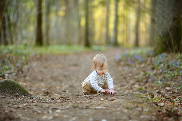 Adorable toddler boy having fun during a hike in the woods on beautiful sunny spring day. Active family leisure with kids.