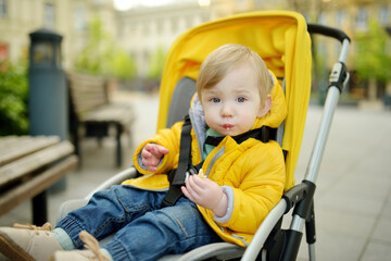 Fototapeta na wymiar Sweet toddler boy eating cookie in a stroller outdoors. Little child in pram. Infant kid in pushchair. Spring walks with kids.