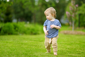 Funny toddler boy having fun outdoors on sunny summer day. Child exploring nature.