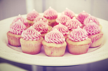 Pink Cupcake