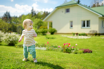 Funny toddler boy having fun outdoors on sunny summer day. Child exploring nature.