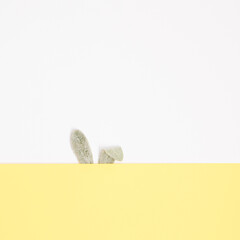 Happy Easter minimal concept. Bunny rabbit ears made of natural green leaves on white and pastel yellow background. Flat lay.