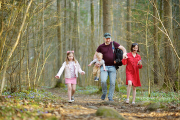 Young father and his three kids hiking in the woods. Family of four having fun on a walking trail on sunny spring day.