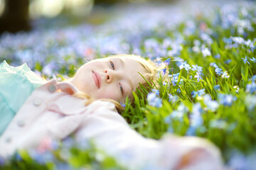Cute young girl admiring scilla flowers blooming in the park on spring. Beautiful spring flowers on...