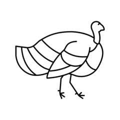 turkey bird line icon vector illustration