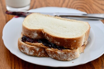 Peanut butter and jelly sandwich 