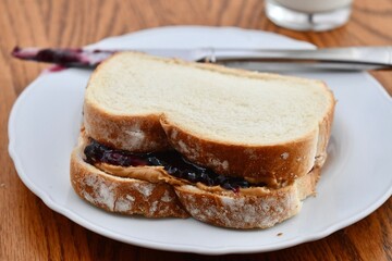 Peanut butter and jelly sandwich