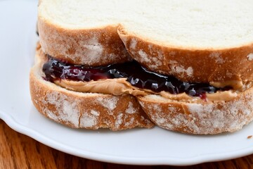 Peanut butter and jelly sandwich 