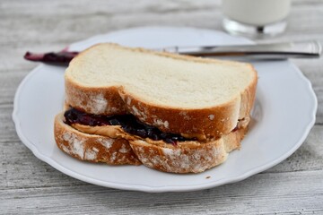 Peanut butter and jelly sandwich 
