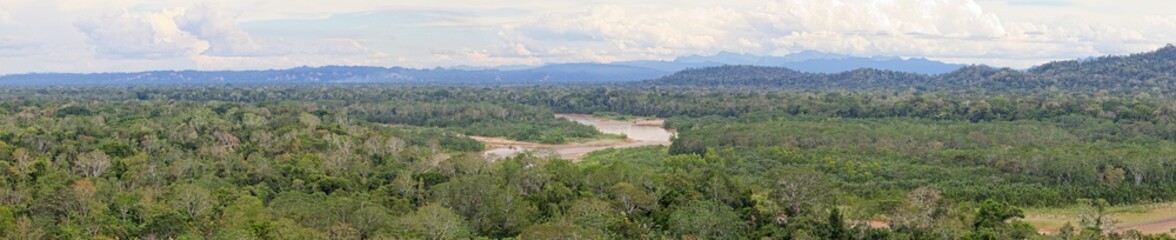 Fototapeta na wymiar Panorama of dense green jungle and river in the remote Pampas del Yacuma near Rurrenabaque in Bolivia.