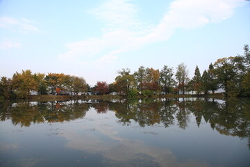 autumn landscape