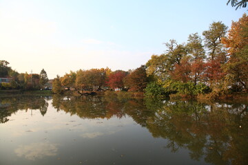 Fototapeta na wymiar autumn landscape