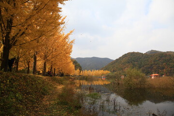 Obraz premium autumn landscape
