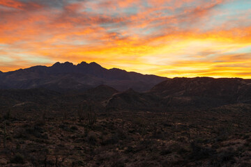 Fototapeta premium Sunrise at Four Peaks Wilderness area