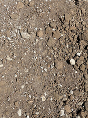 dry brown dirt and rocks