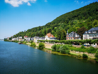 Fototapeta na wymiar River forest and historic houses at Heidelberg