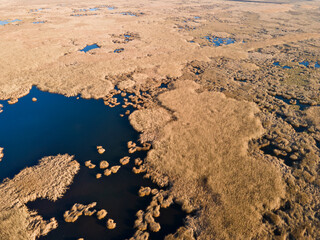 Aerial Autumn view of Dragoman marsh, Bulgaria