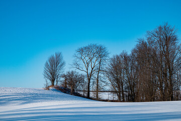Windswept, Winter Field  in South Bruce