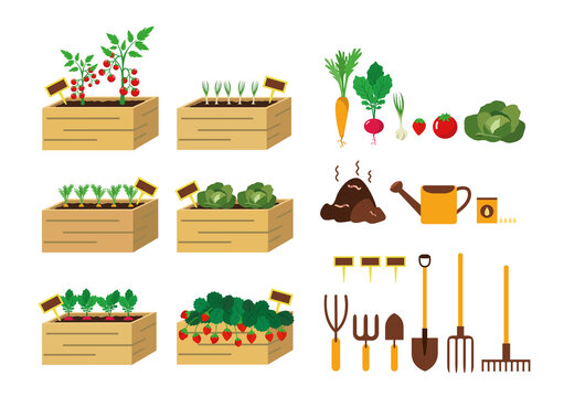 ilustraci&oacute;n vectorial conjunto de huerta urbana. jardiner&iacute;a, cajas