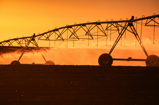 Irrigation Pivot At Sunset