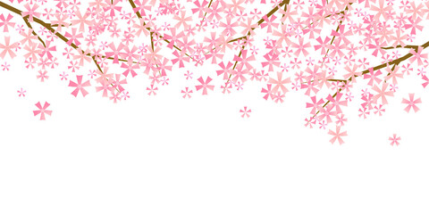 Fototapeta premium 桜 和柄 水彩 背景
