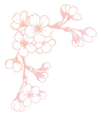ペン画桜のフレーム素材