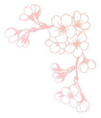 ペン画桜のフレーム素材