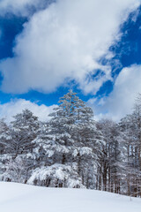 冬の霧ヶ峰高原鷲ヶ峰スノーハイク