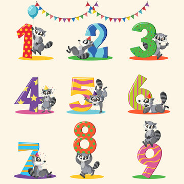 Set of different raccoon holding the numbers isolated on white background