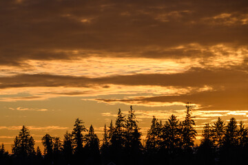 Bright orange sunset sky filled with clouds and a silhouetted tree line, as a nature background
