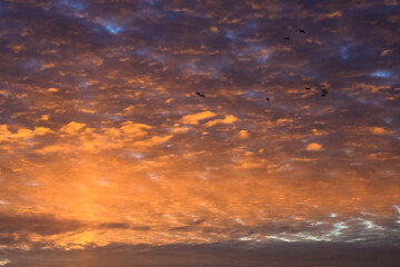 Brilliant sunset sky filled with clouds lit in oranges and purples by the sun, as a nature background
