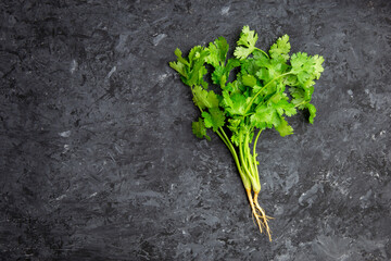 Fresh coriander on a black background/Top view. Free space.