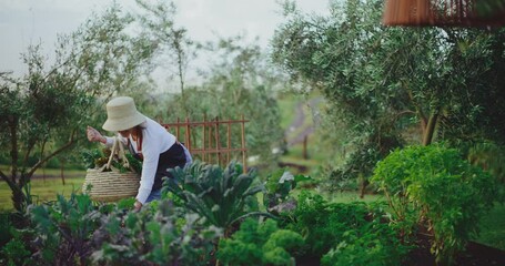 Senior woman tending to her garden beds, enjoying the golden years of retirement