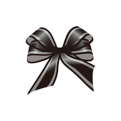 Ribbon Organdy　リボン　オーガンジー　黒色のストライプ模様