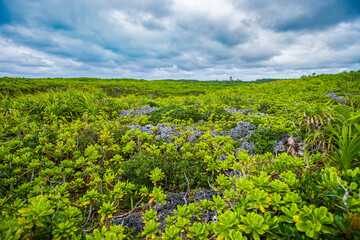 Naklejka premium 沖縄県宮古島 通り池