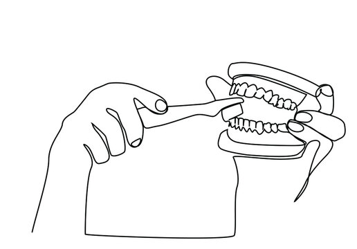 recommend clip art: a dentist doctor demonstrates how to clean dentures with a toothbrush