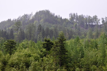 Fototapeta na wymiar Green mountain forest hills