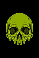 Skull head with green color artwork illustration