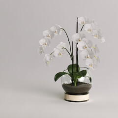 Glass vase with decorative phalaenopsis flowers isolated on gray background
