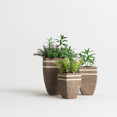 Collection of brown potted plants isolated on light background